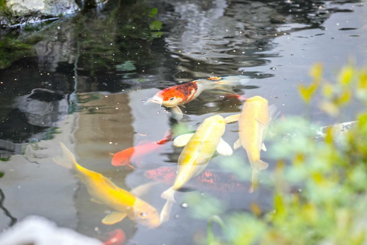 Tongli 1917 Best South Inn Suzhou  Esterno foto